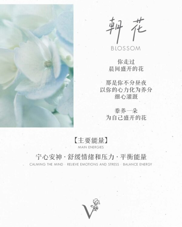 朝花｜Blossom - 手串款｜Beaded Bracelet - Image 9