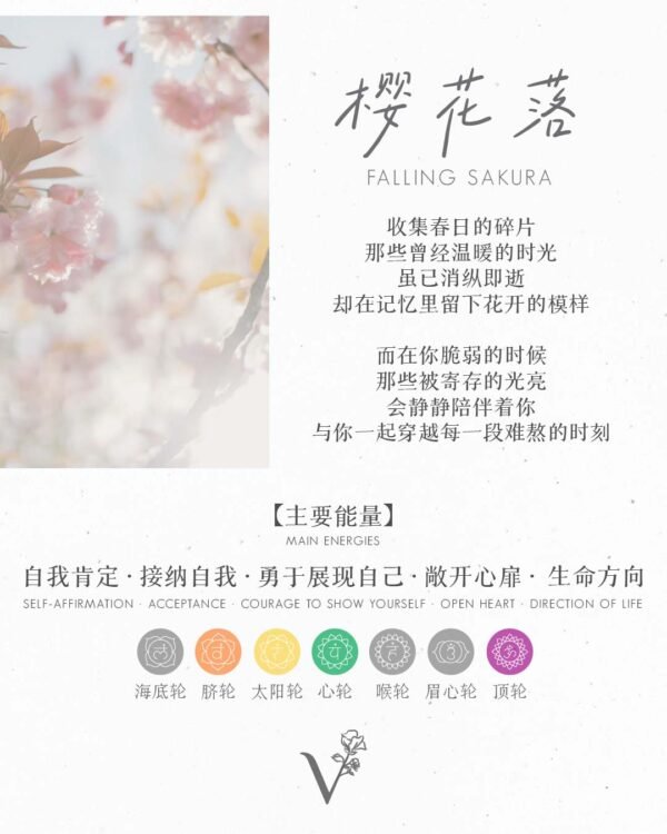 樱花落｜Falling Sakura - Image 9