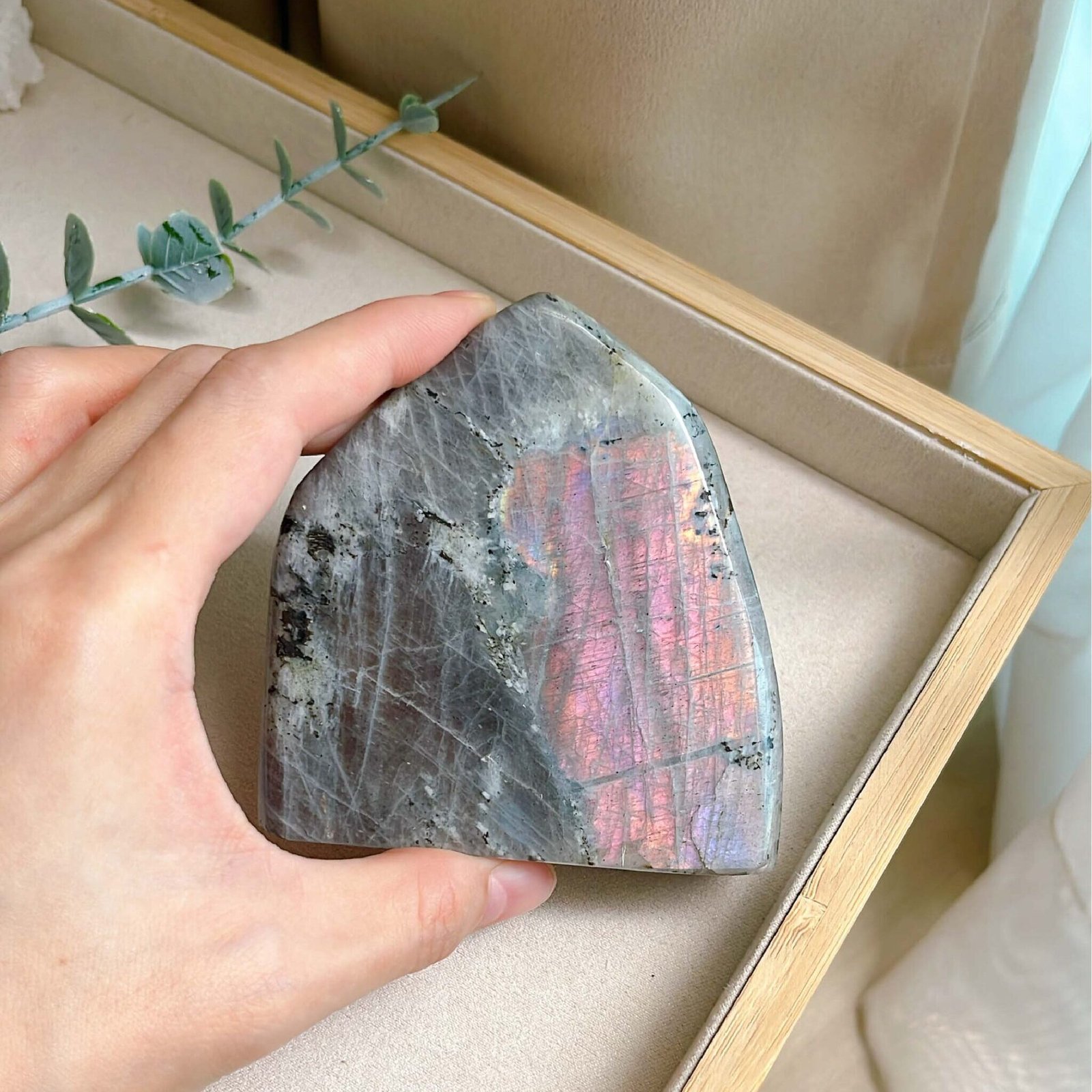 拉长石|Labradorite