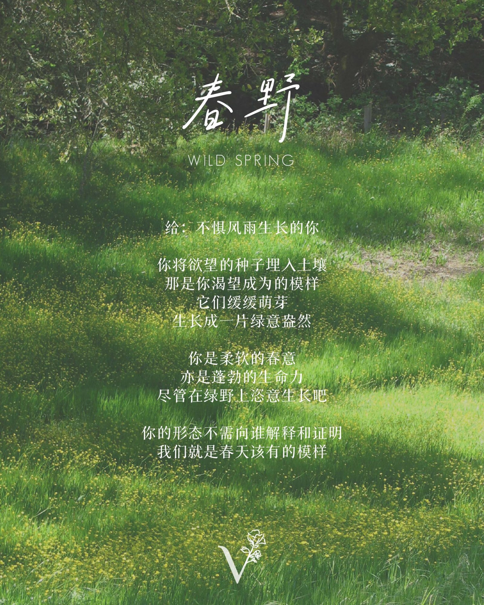 春野|Wild Spring - Image 6