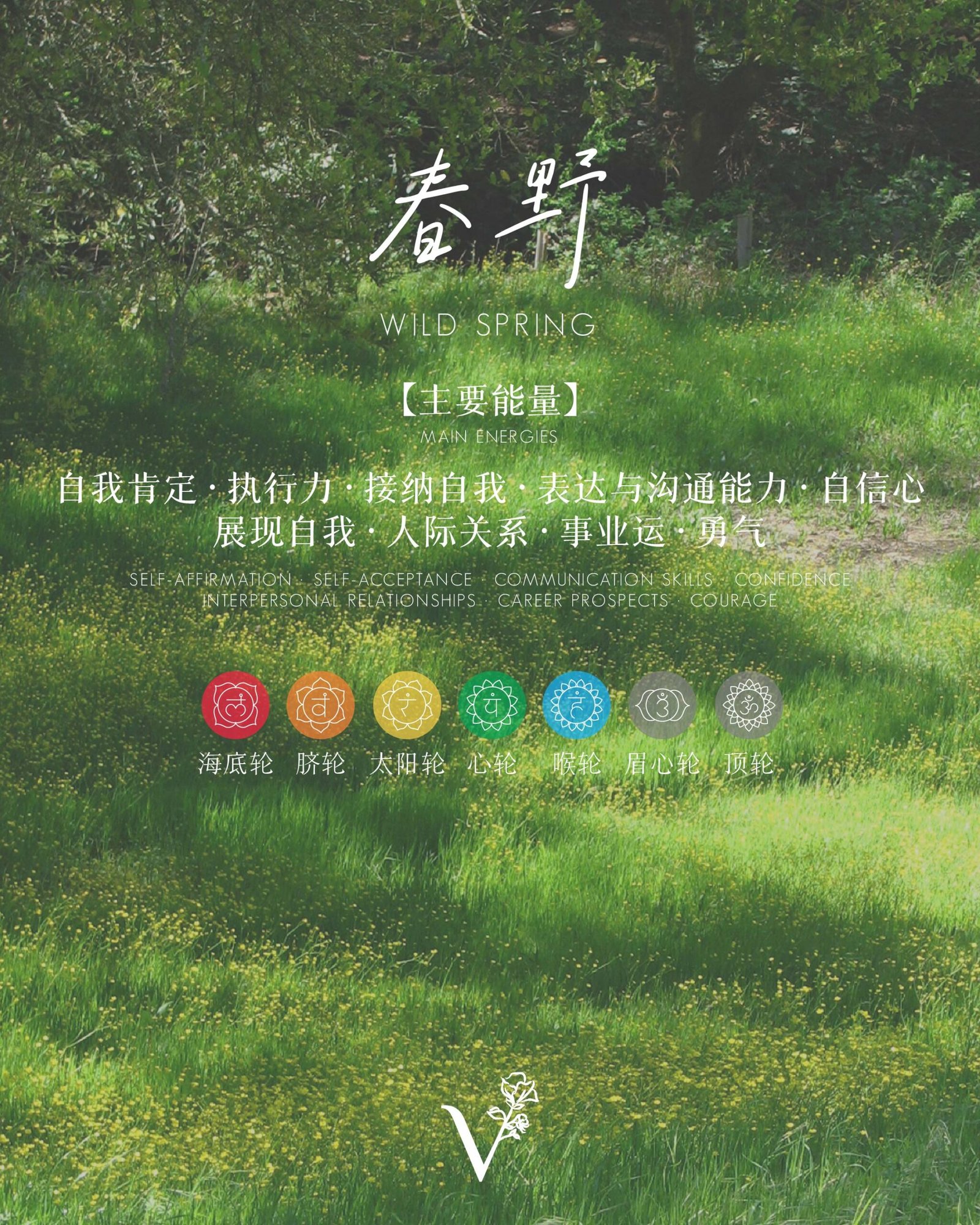 春野|Wild Spring - Image 7