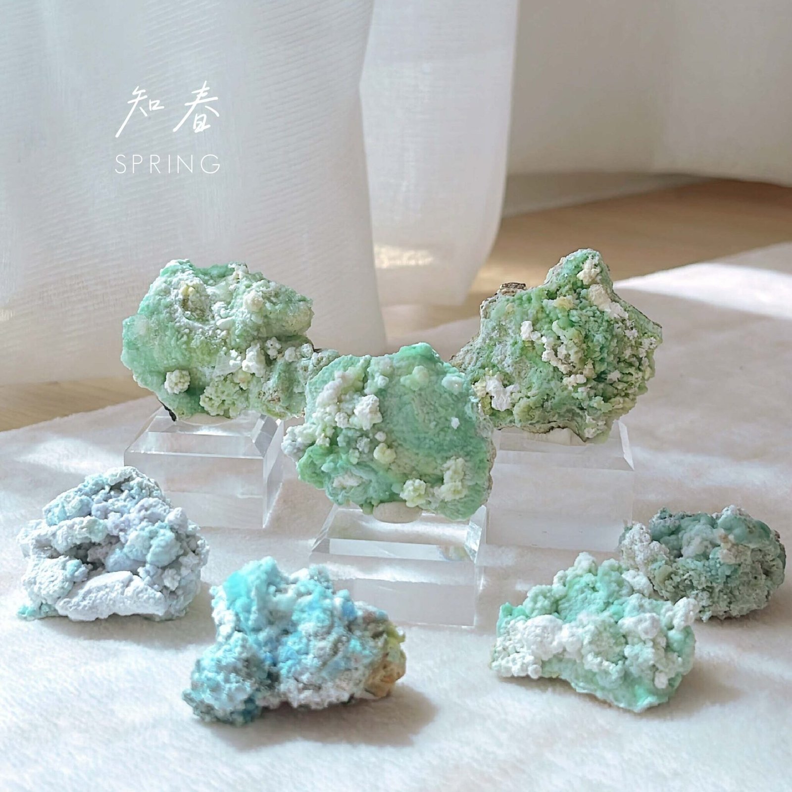 知春|Spring