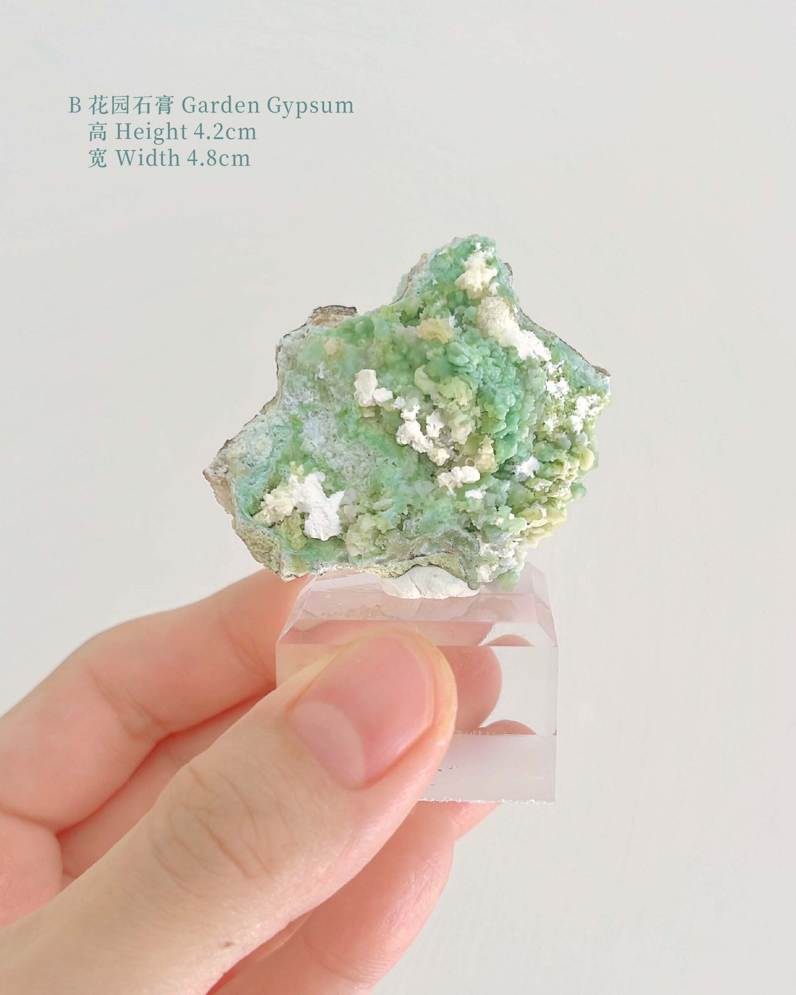 知春|Spring - Image 10
