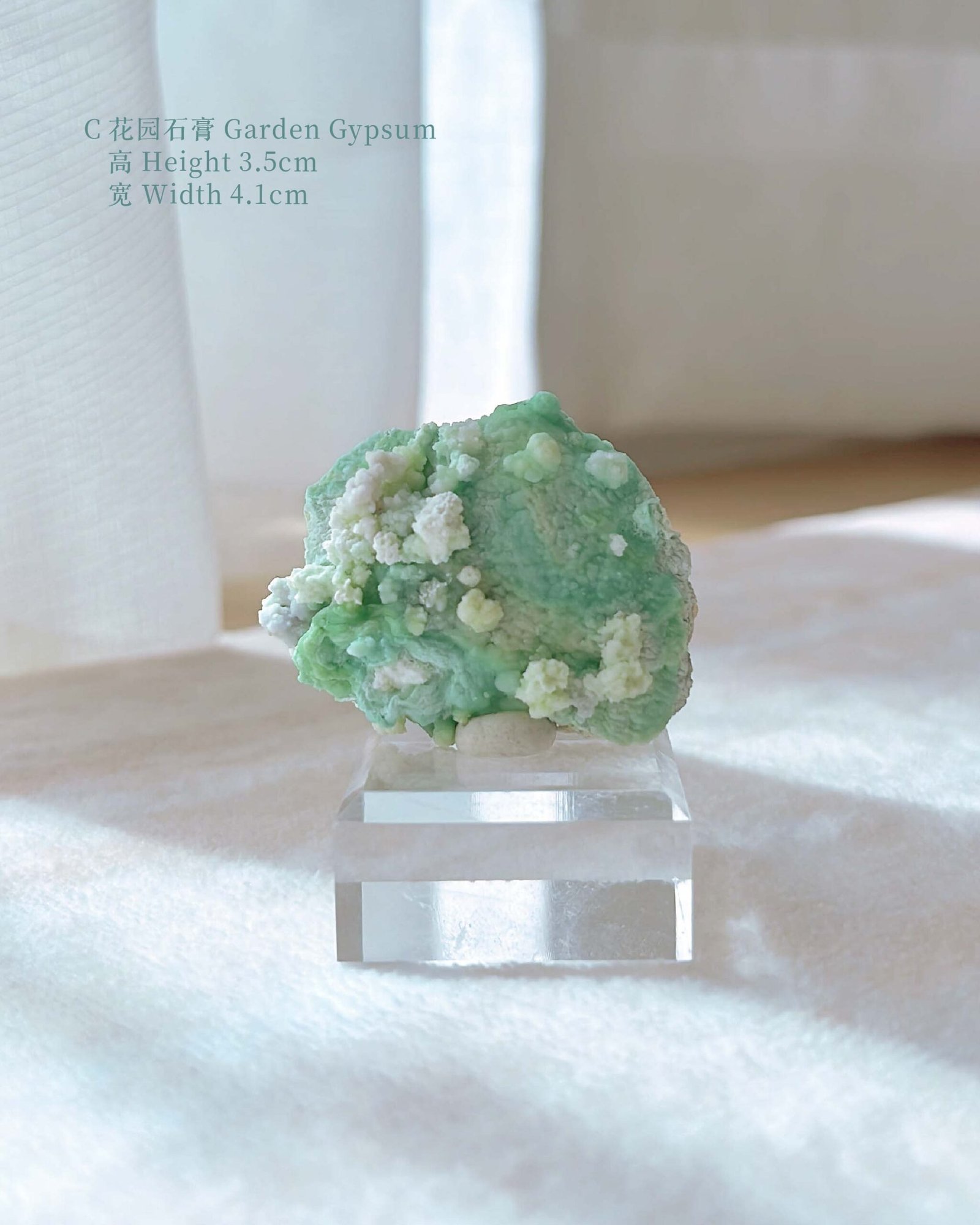 知春|Spring - Image 11