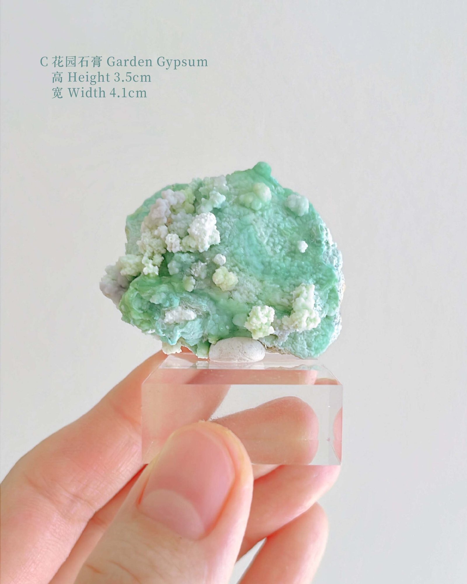 知春|Spring - Image 12