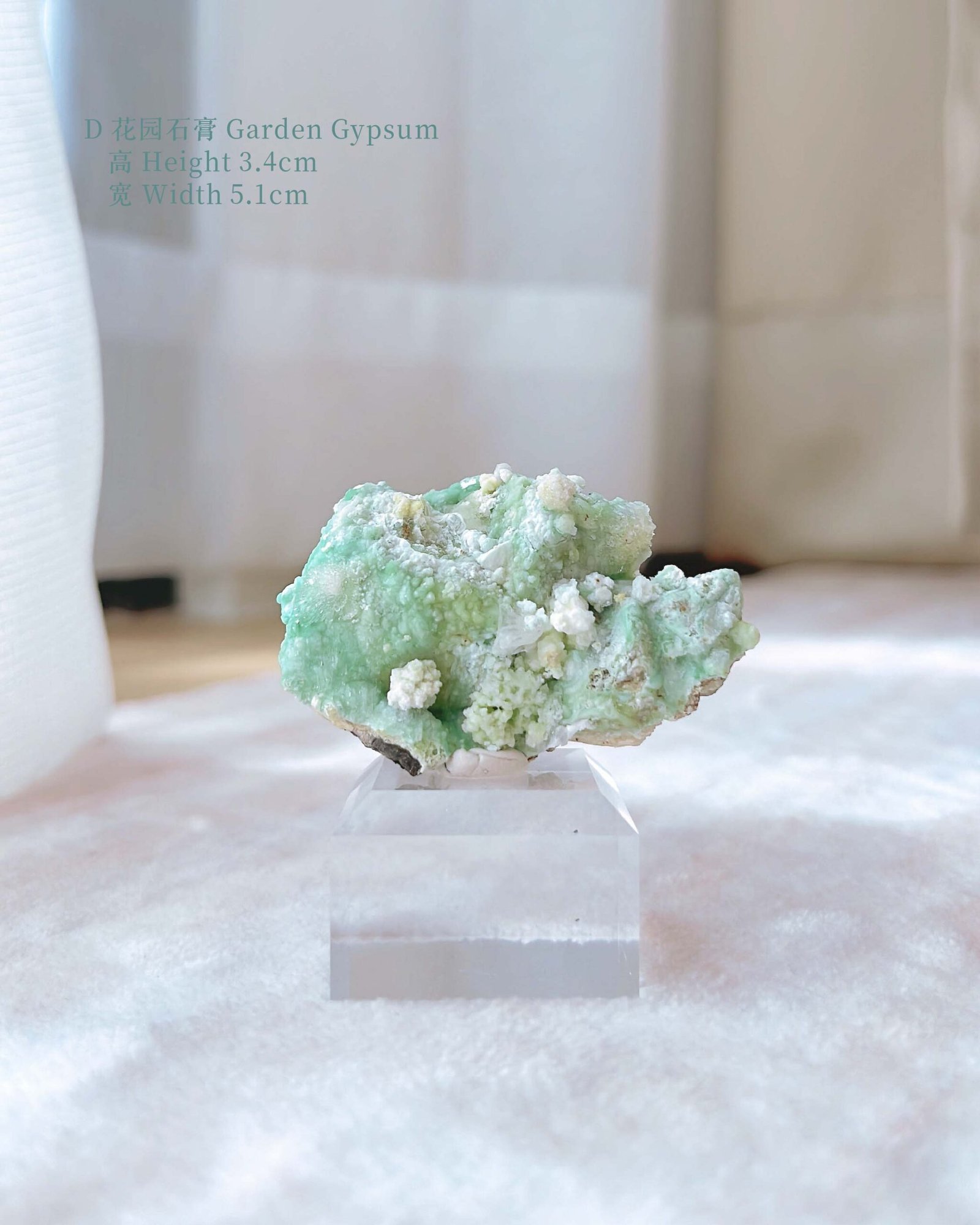 知春|Spring - Image 13