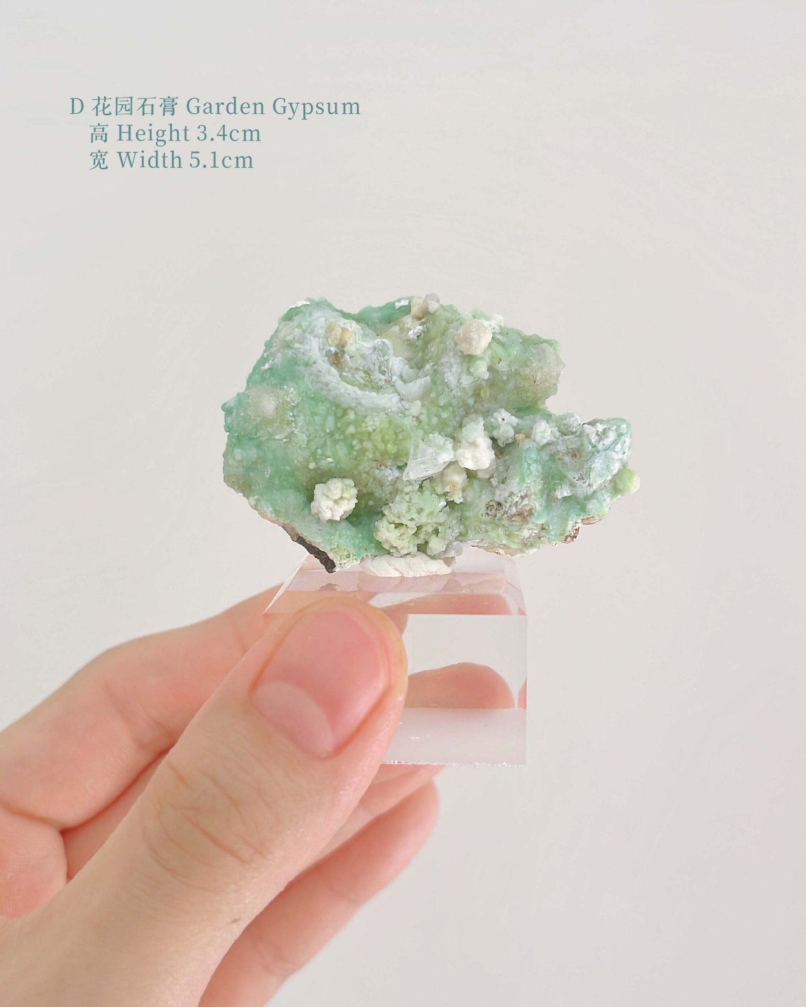 知春|Spring - Image 14