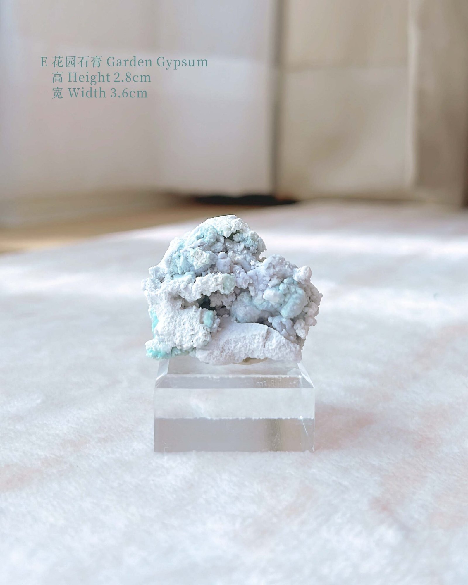 知春|Spring - Image 15