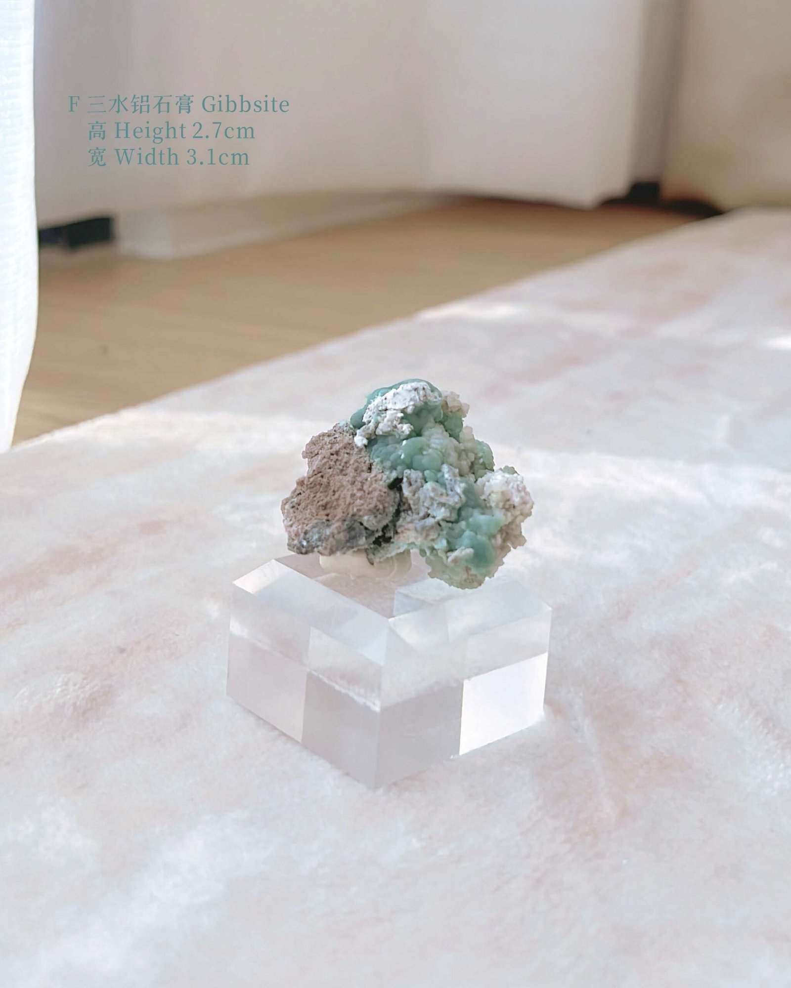 知春|Spring - Image 17