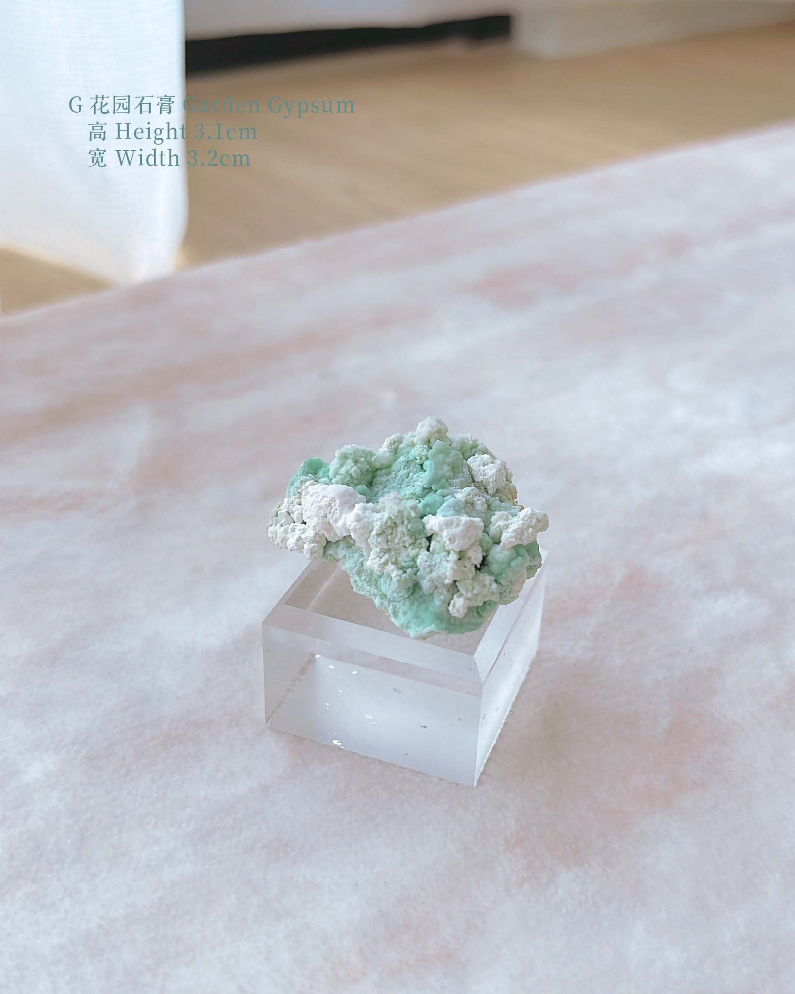 知春|Spring - Image 19